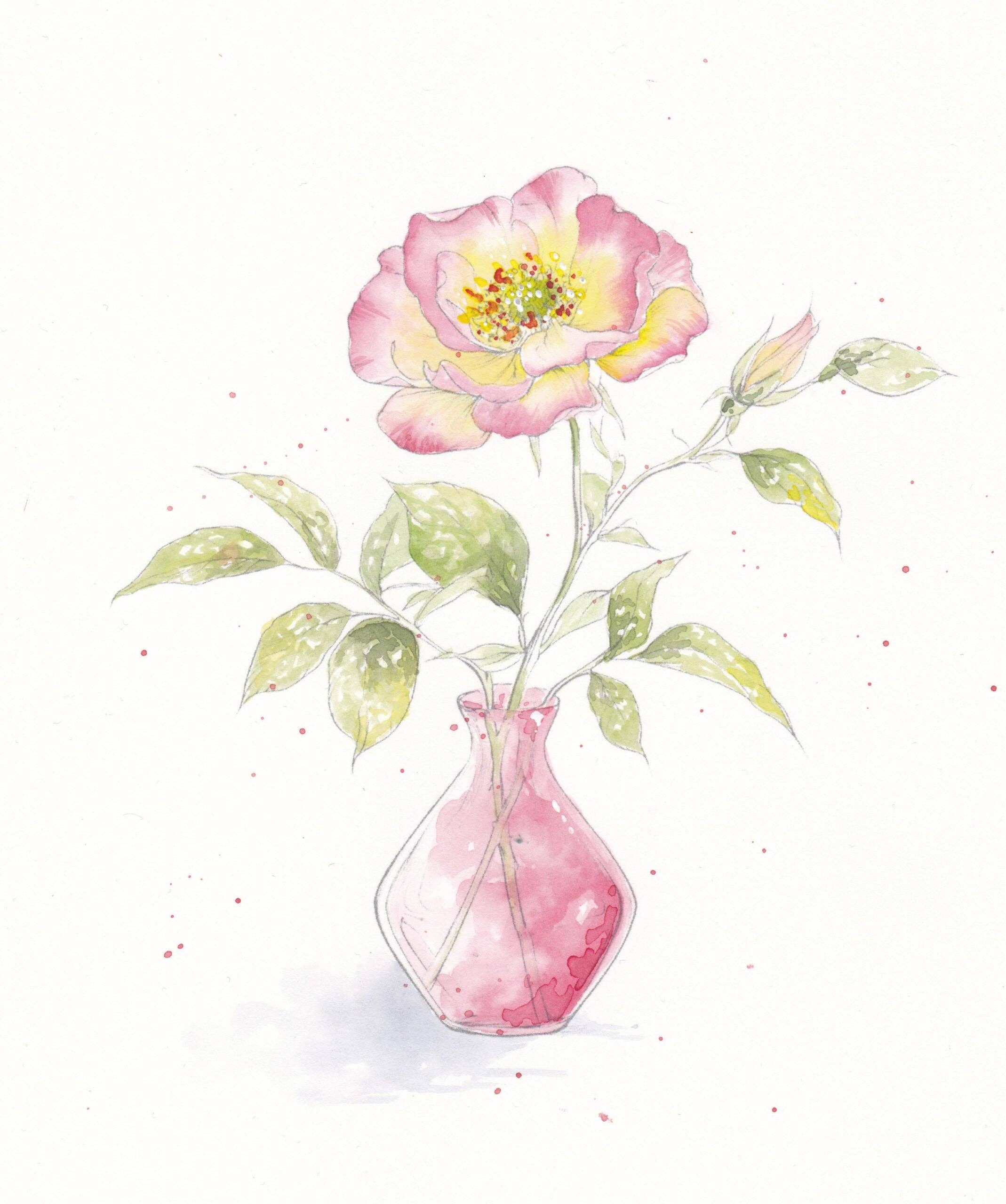 Blooms & Bouquets Watercolor Workbook by Willow Wolfe